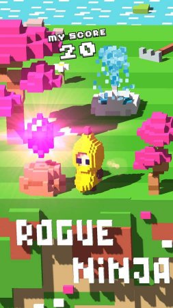 Rogue Ninja 1.0.2 Kilitler Açık Hileli Mod Apk indir