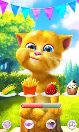 Talking Ginger 2 2.9.2.40 Kilitler Açık Hileli Mod Apk indir